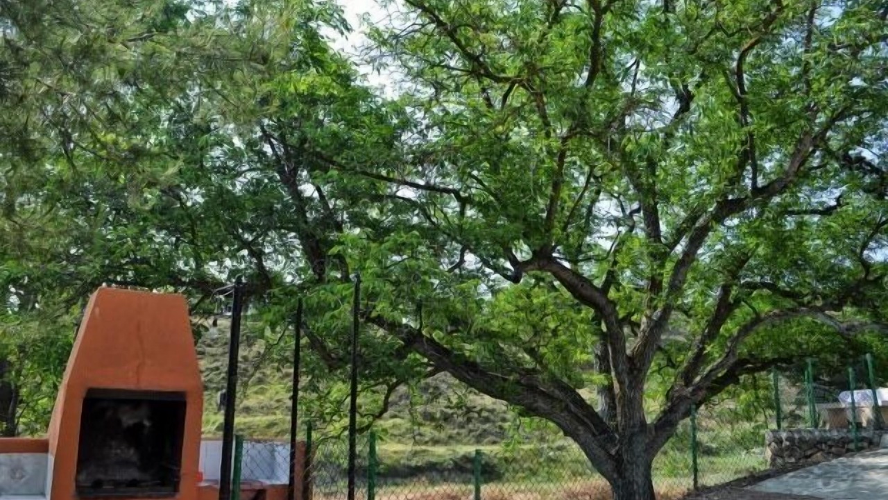 Photo of Outdoor in Mazuza