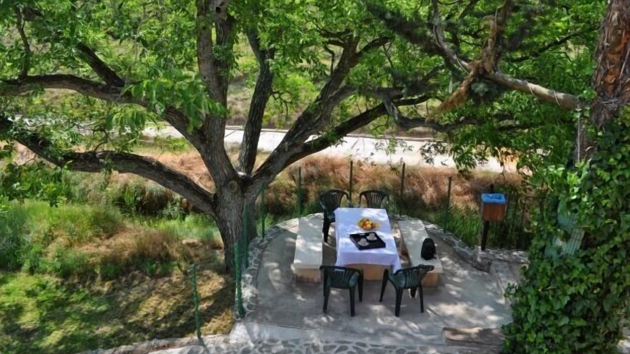 Photo of Outdoor in Mazuza
