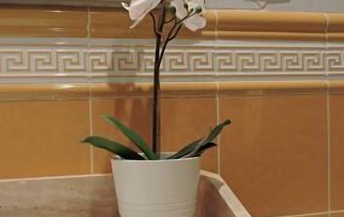 Photo of Bathroom in Ortigosa del Monte