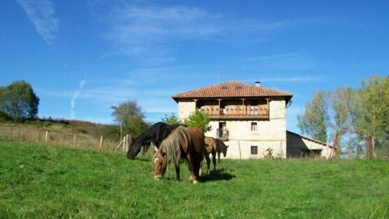 Photo of Outdoor in Bezana