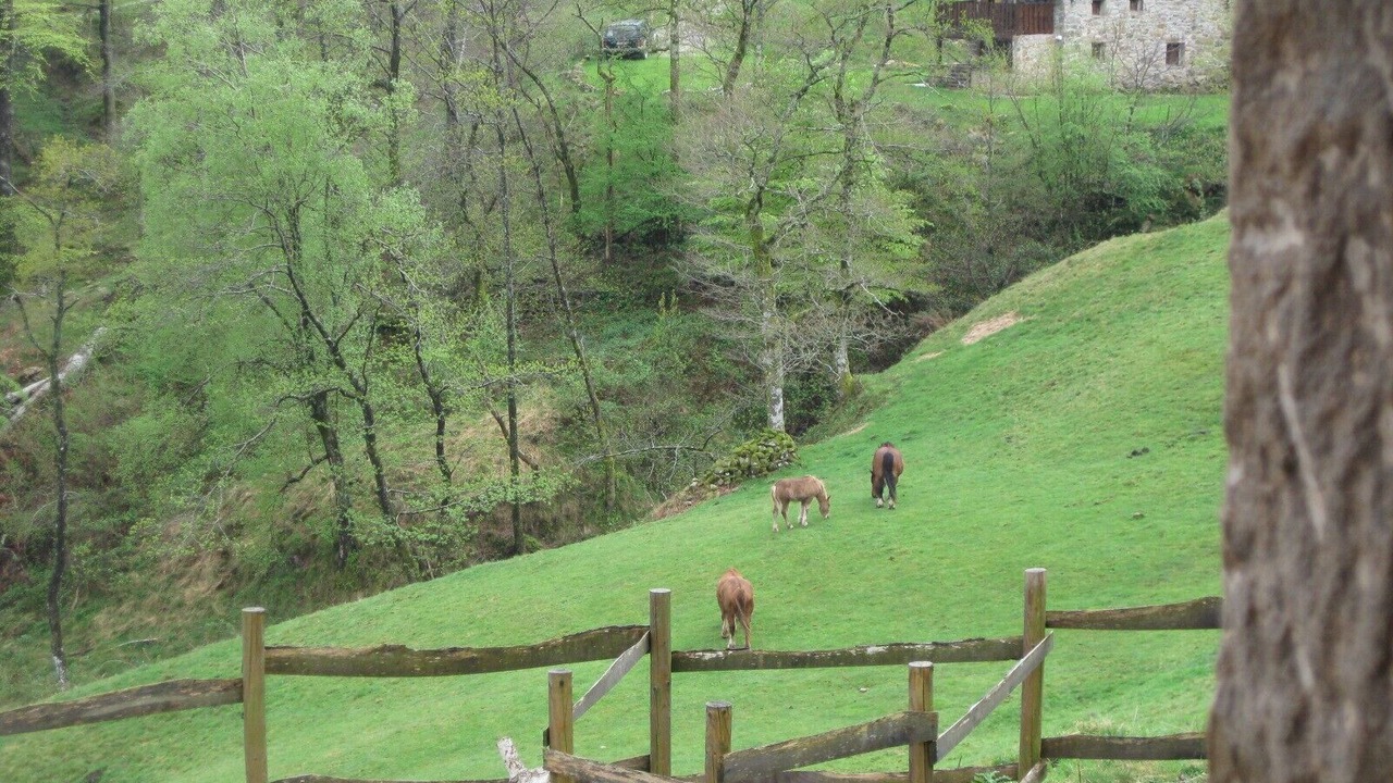 Photo of Outdoor in San Roque de Riomiera