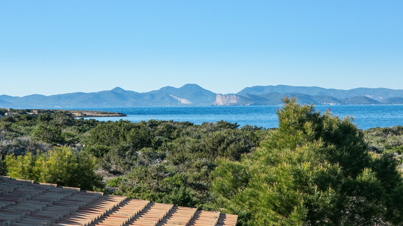 Photo of Others in La Savina