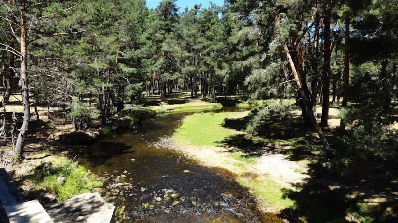 Photo of Outdoor in Abejar