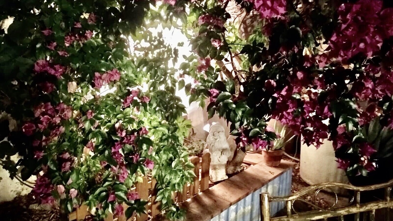 Photo of Outdoor in Palafrugell