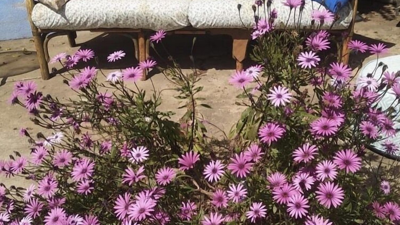 Photo of Outdoor in Palafrugell
