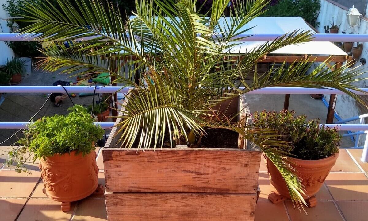 Photo of Outdoor in Palafrugell
