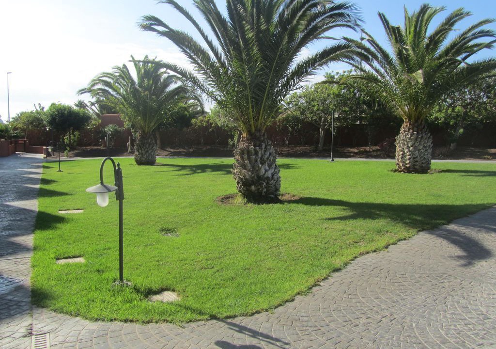 Photo of Outdoor in Granadilla de Abona