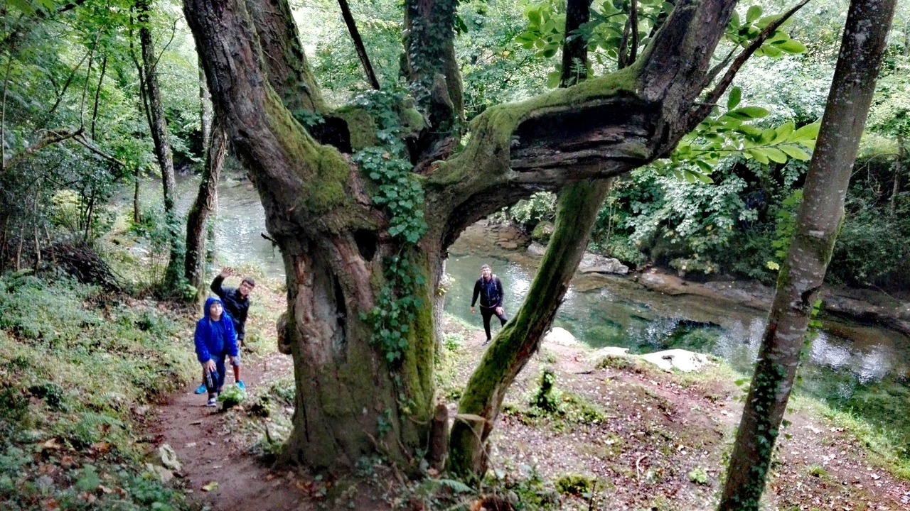 Photo of Outdoor in Carrena