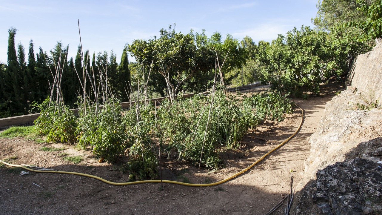 Photo of Outdoor in Tortosa