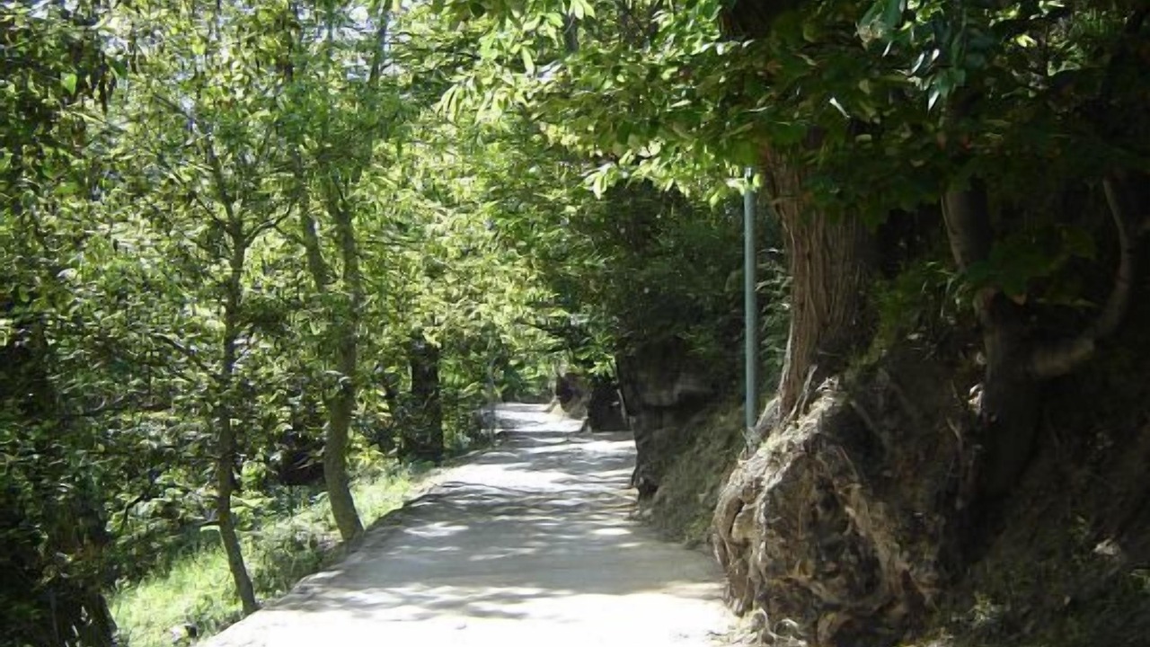 Photo of Outdoor in Odollo