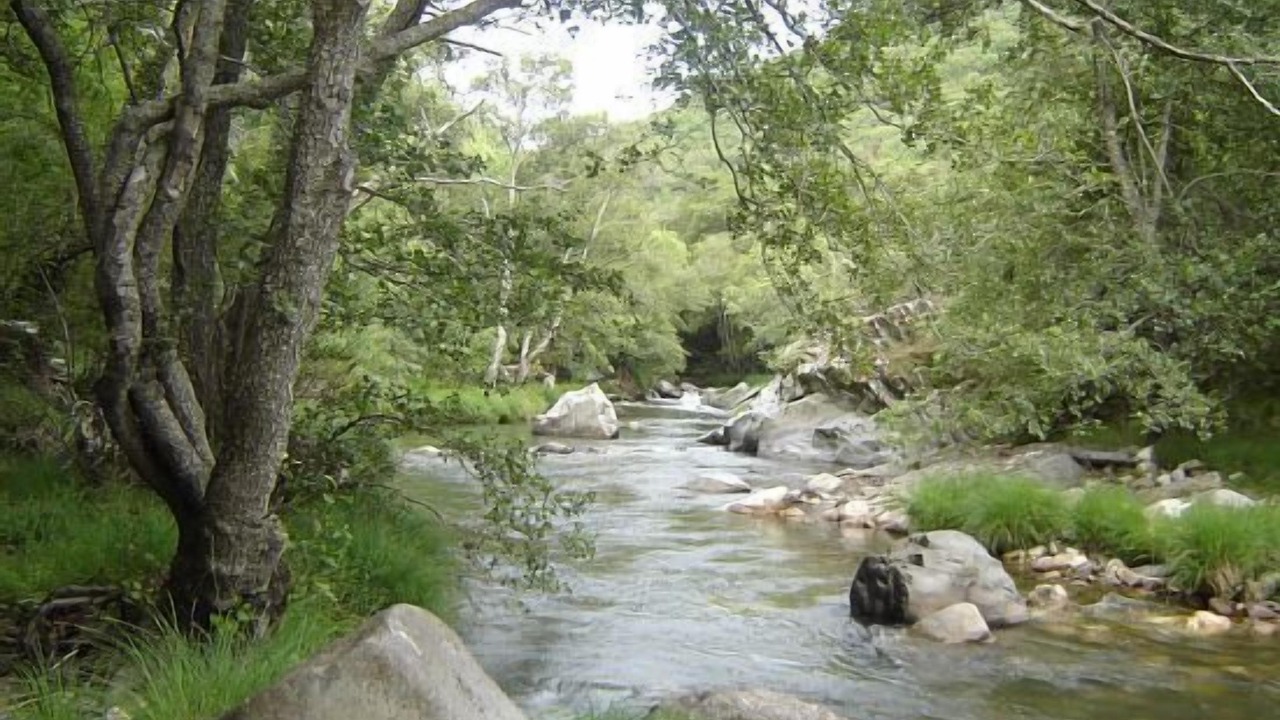 Photo of Outdoor in Odollo