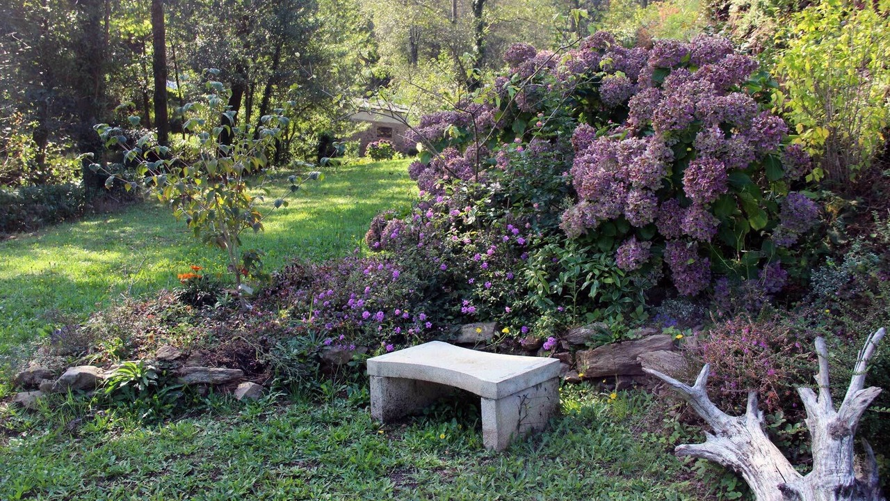Photo of Outdoor in Freires