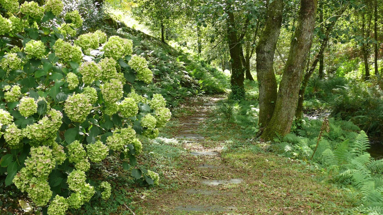 Photo of Outdoor in Freires