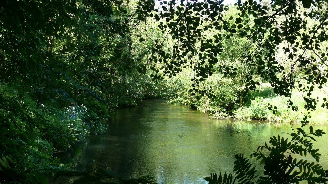 Photo of Outdoor in Freires