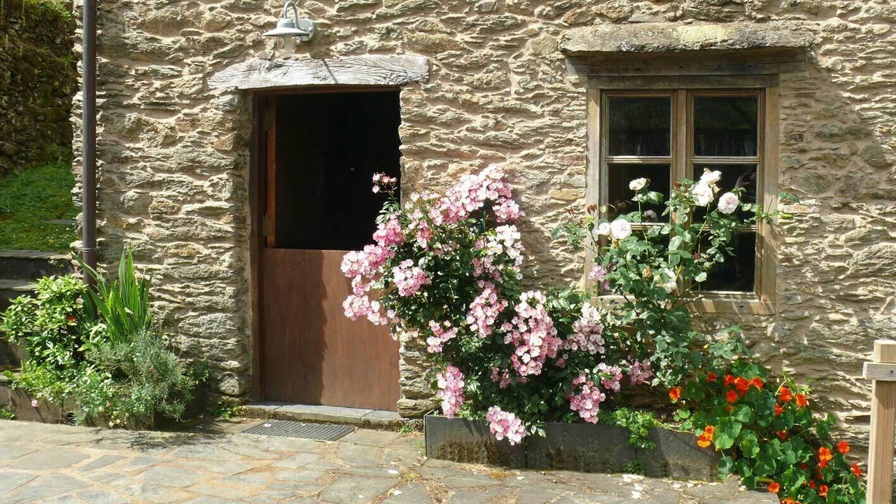 Photo of Outdoor in Freires