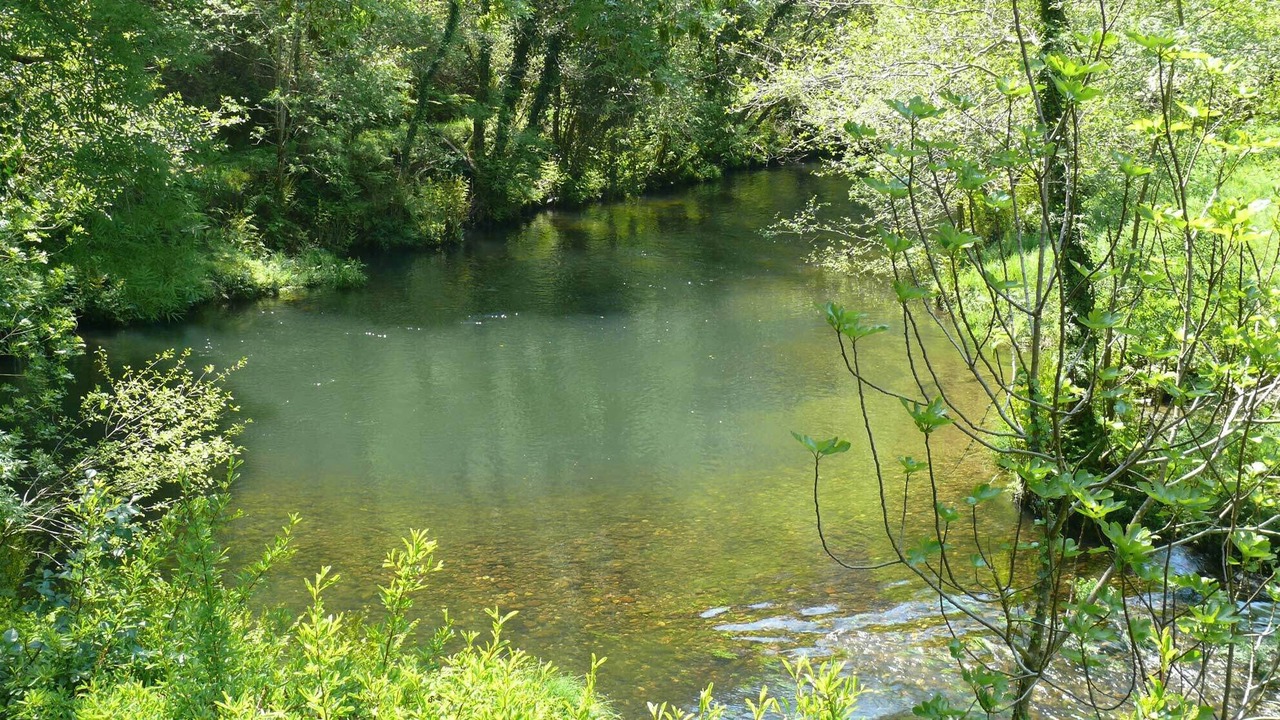 Photo of Outdoor in Freires