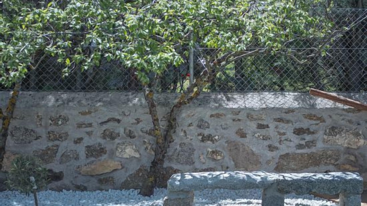 Photo of Outdoor in Ortigosa del Monte