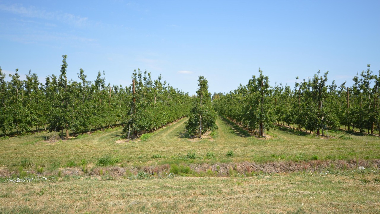 Photo of Outdoor in Sant Pere Pescador