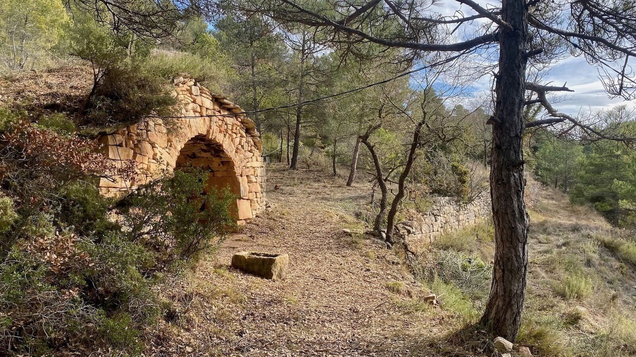 Photo of Outdoor in Passanant i Belltall