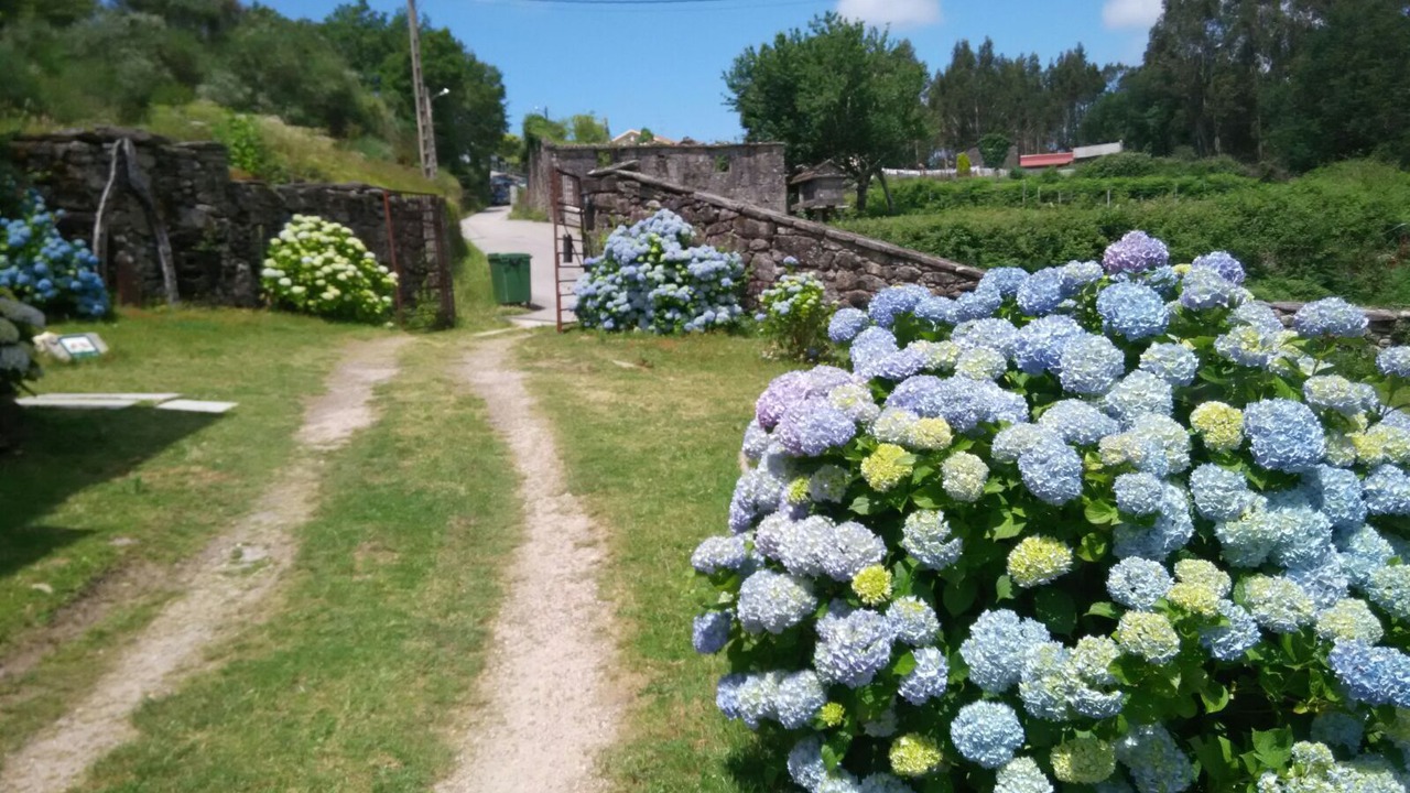 Photo of Outdoor in Fornelos de Montes