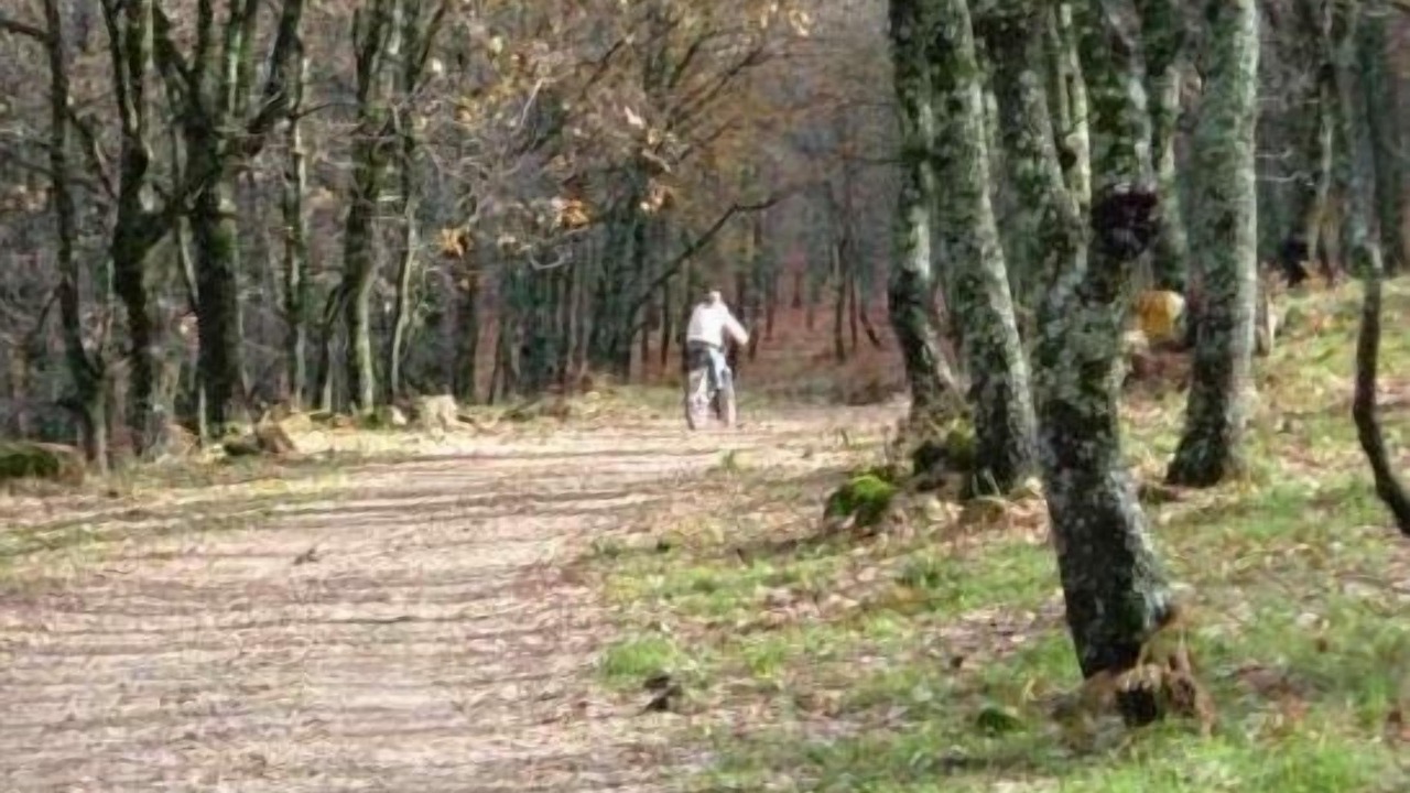 Photo of Outdoor in Jaraiz de la Vera