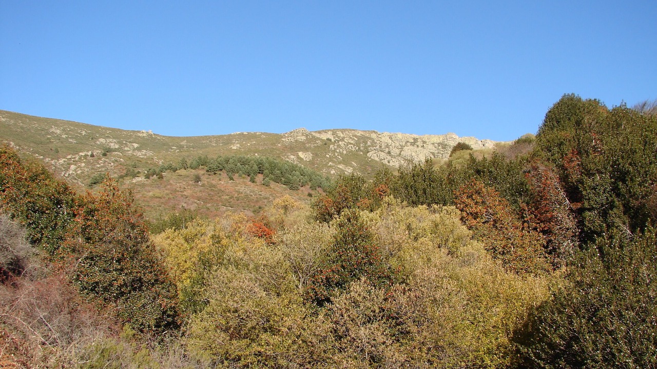 Photo of Outdoor in Alameda del Valle