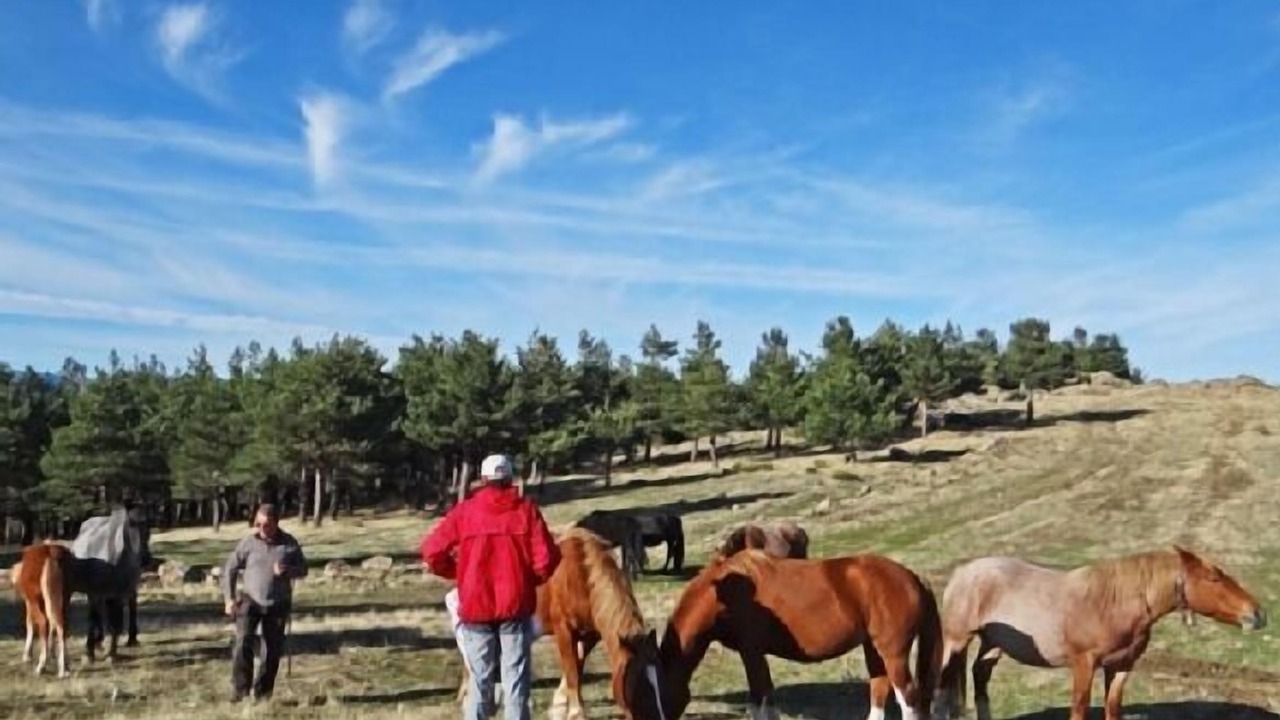 Photo of Outdoor in Alameda del Valle