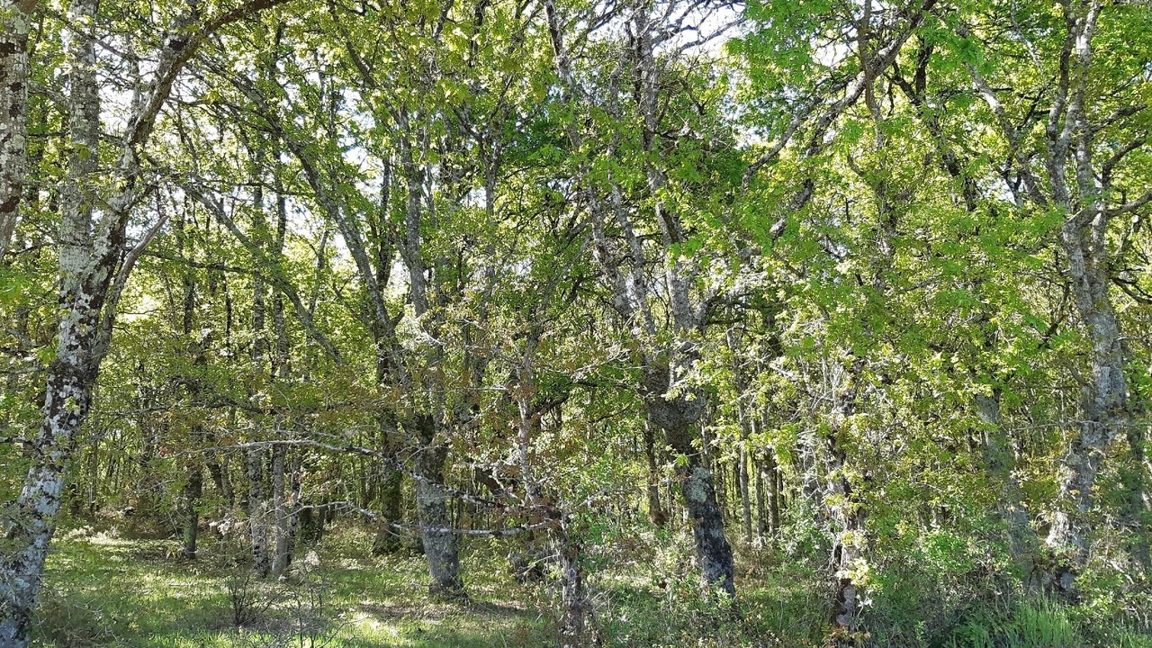 Photo of Outdoor in Mos