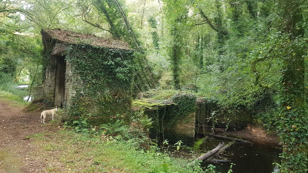 Photo of Outdoor in Mos