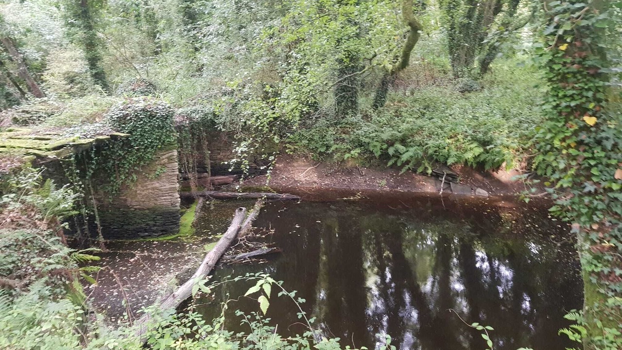 Photo of Outdoor in Mos