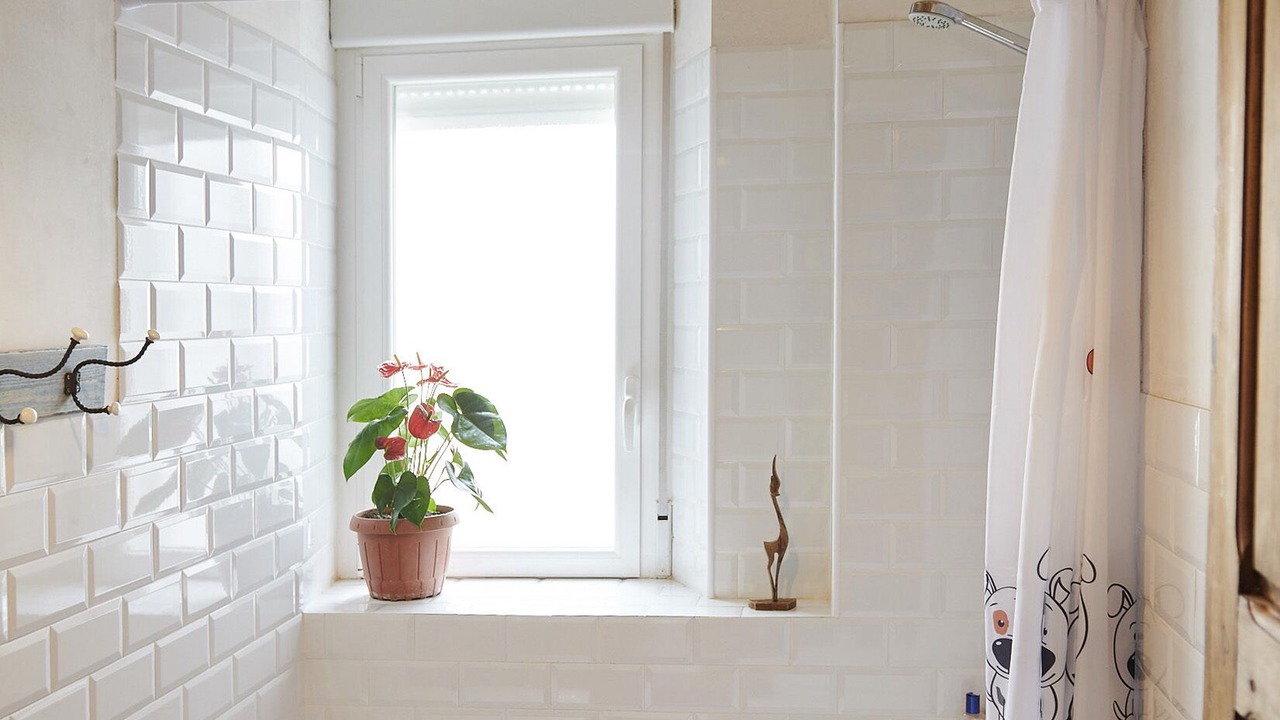 Photo of Bathroom in Covaleda
