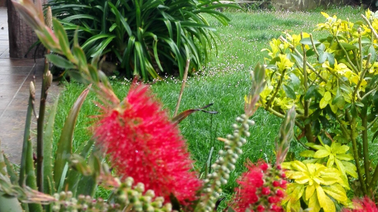 Photo of Outdoor in Sobremazas