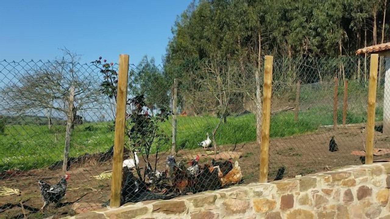 Photo of Outdoor in Priesca