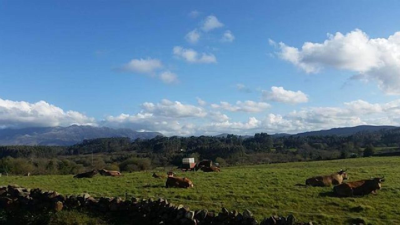 Photo of Outdoor in Priesca