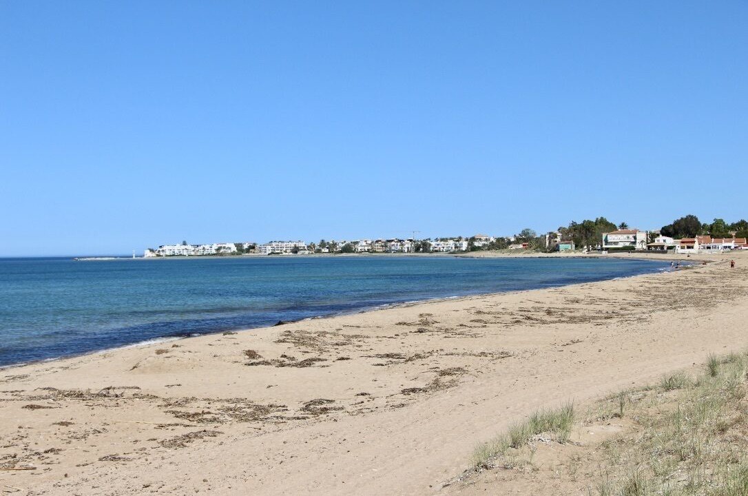 Photo of Others in Molinell