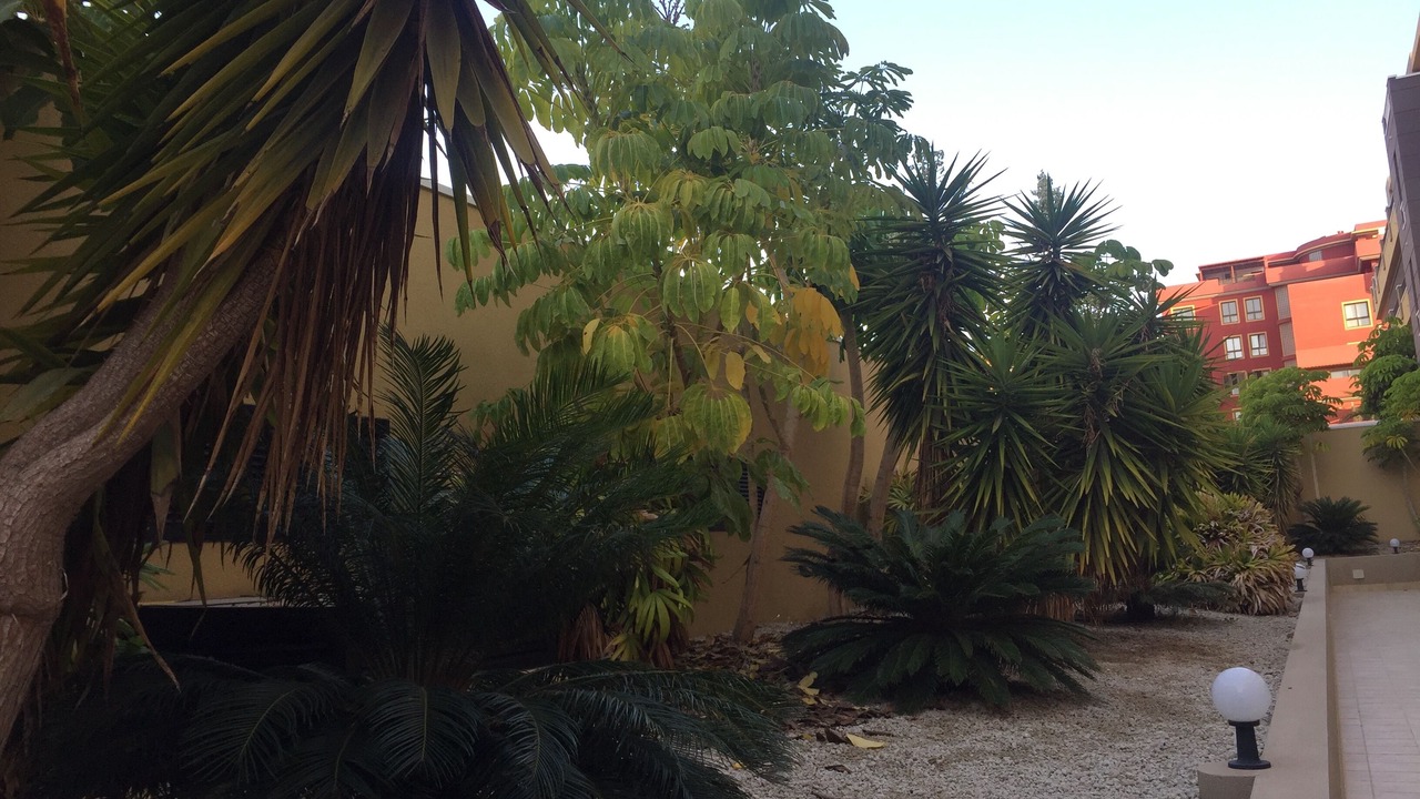 Photo of Outdoor in El Medano