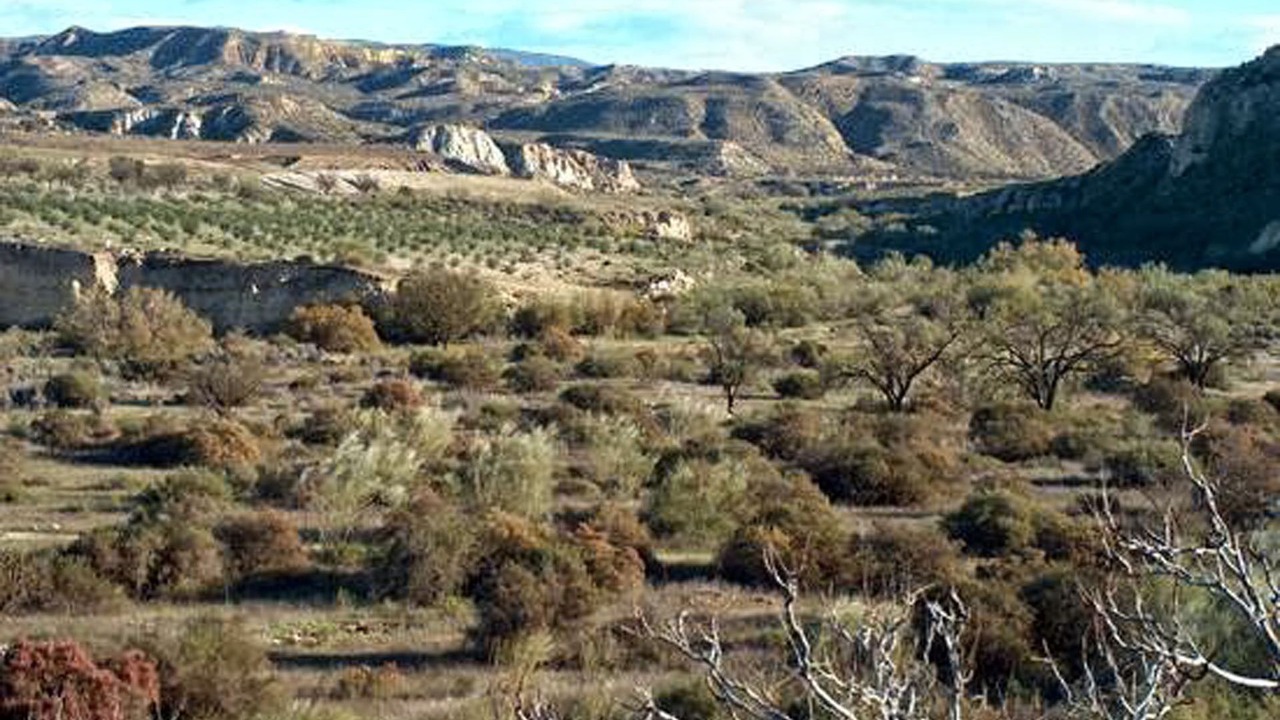 Photo of Outdoor in Sorbas