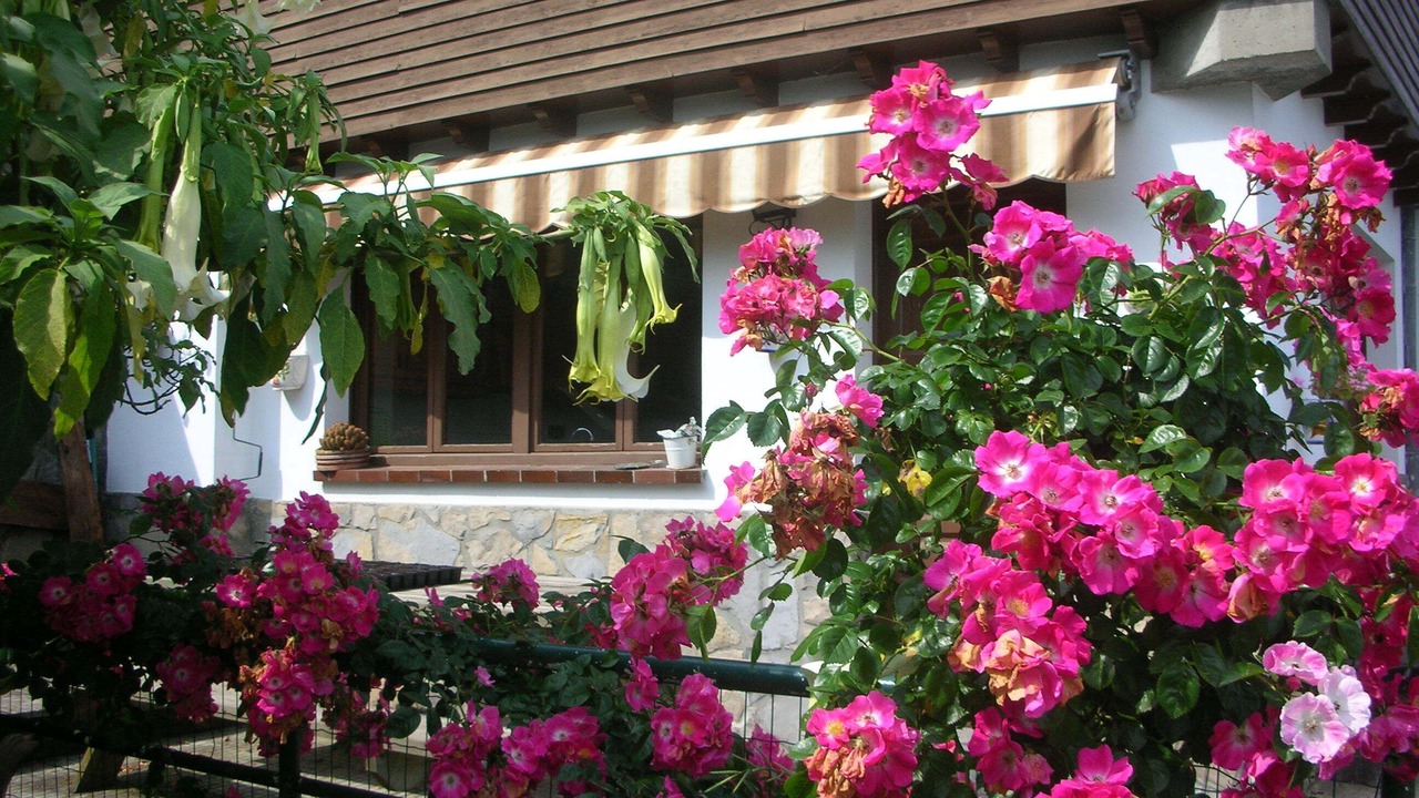 Photo of Outdoor in Tornon