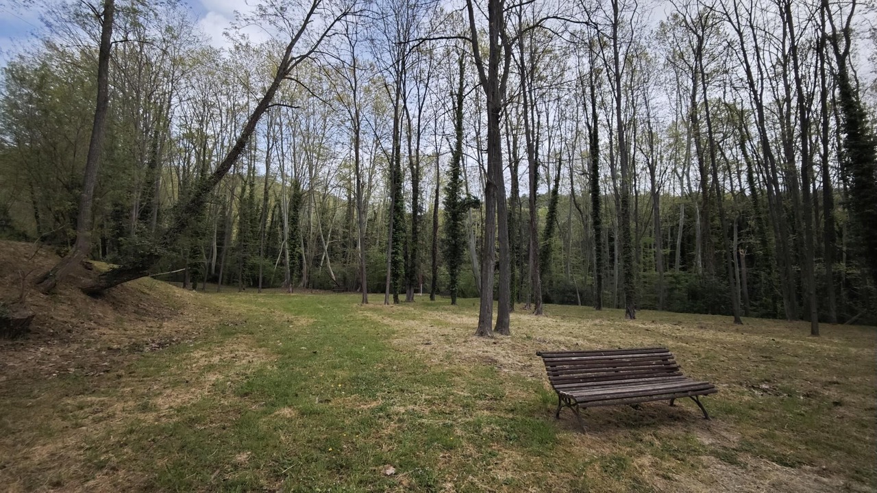 Photo of Outdoor in Gualba