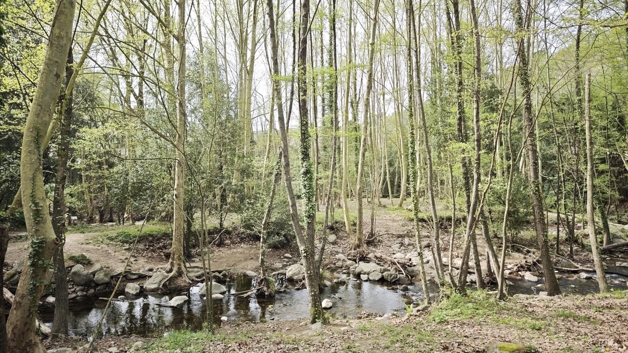 Photo of Others in Gualba