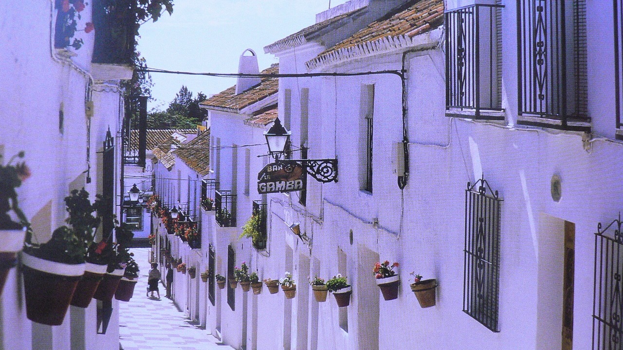 Photo of Outdoor in Vera
