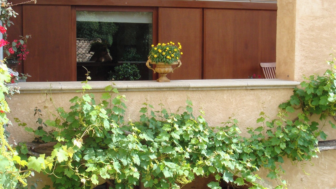 Photo of Outdoor in Sant Gregori