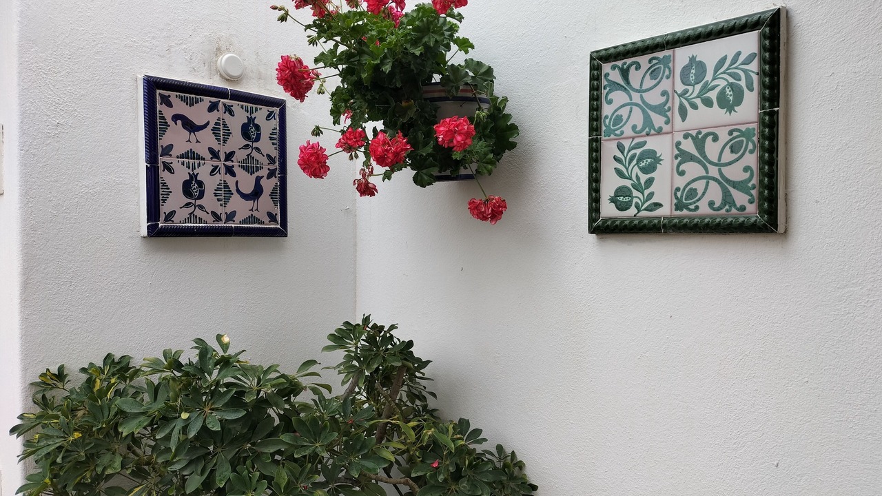 Photo of Others in San Juan de los Terreros