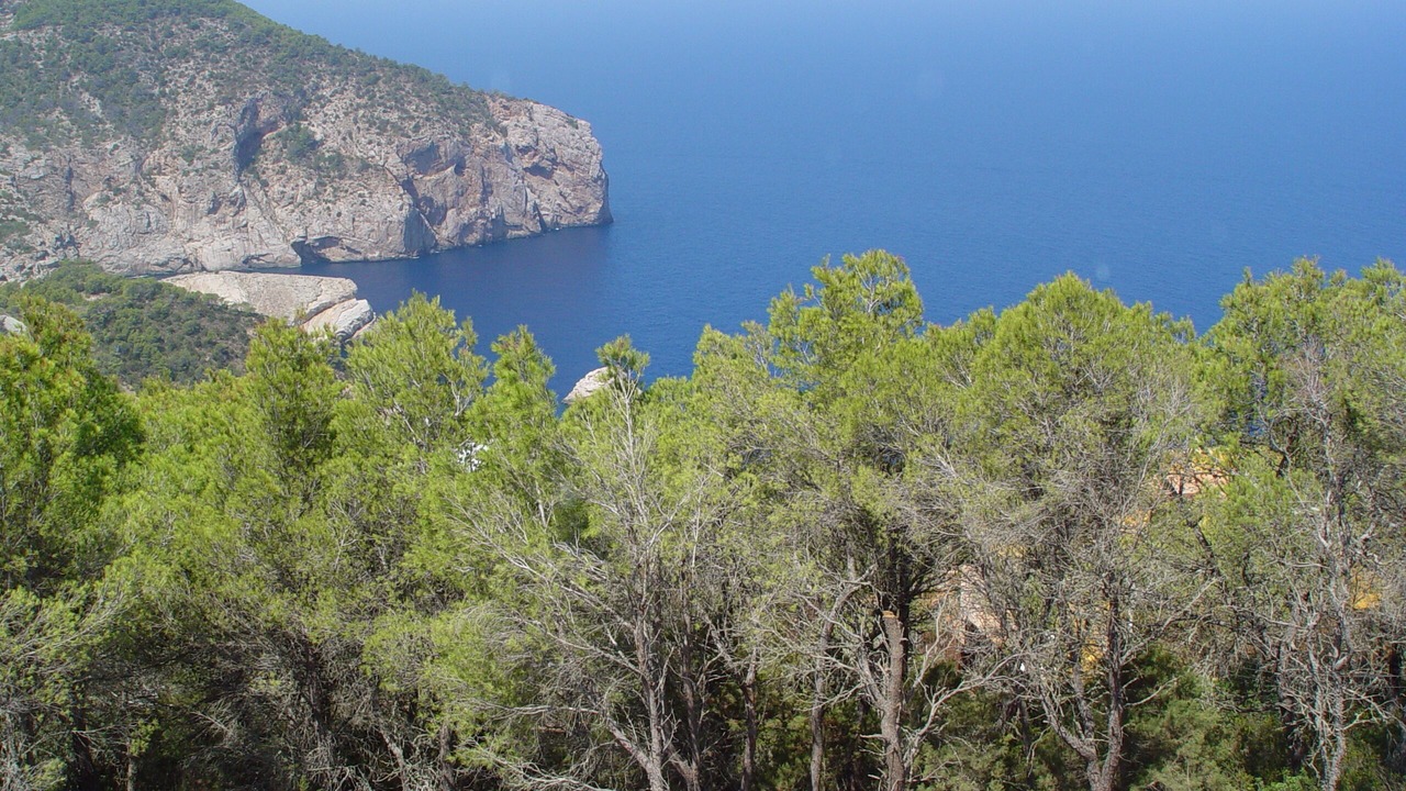 Photo of Others in Sant Joan de Labritja
