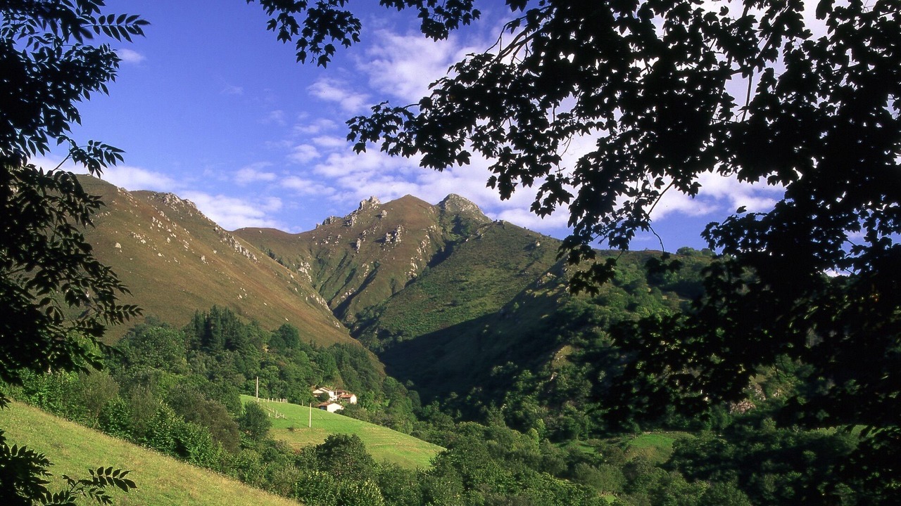 Photo of Outdoor in Precendi