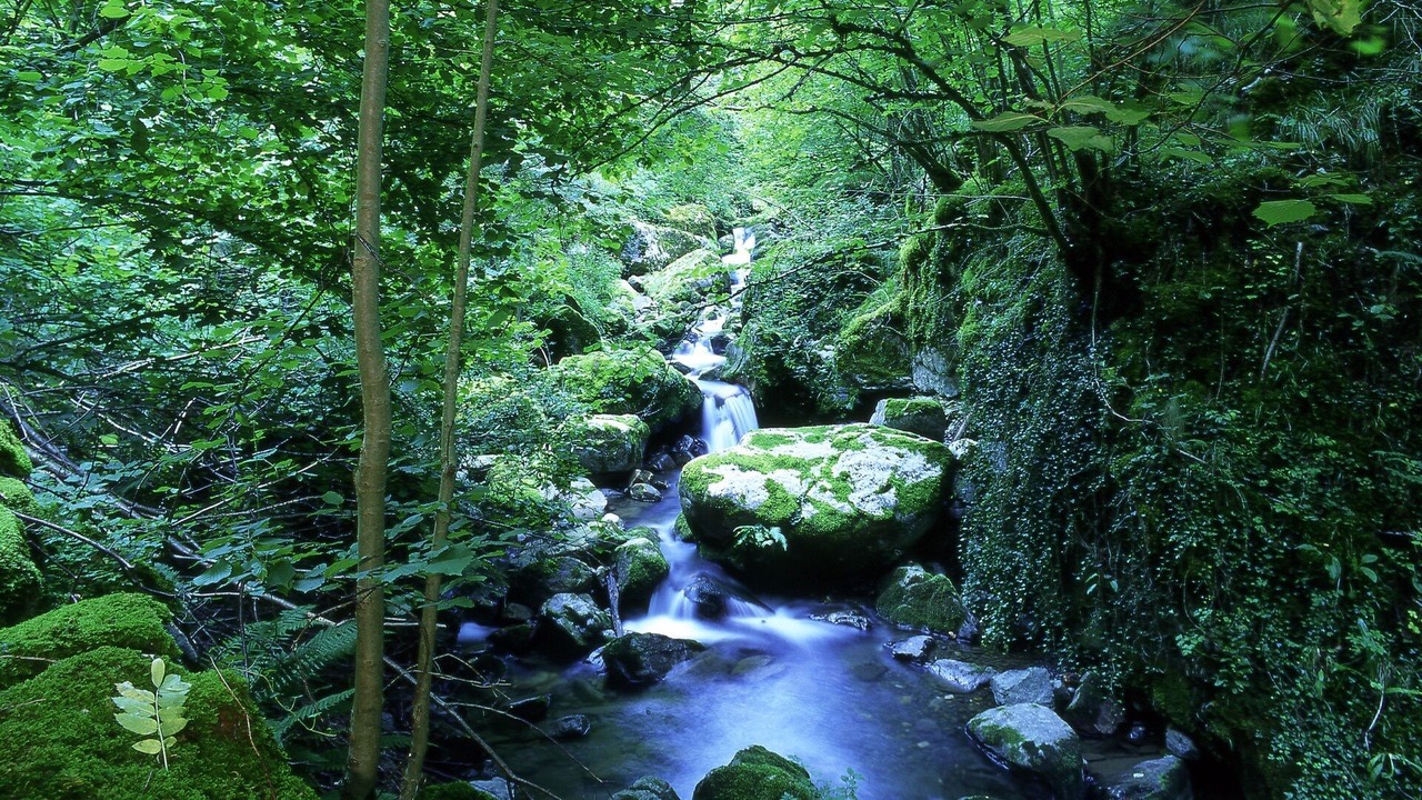 Photo of Outdoor in Precendi