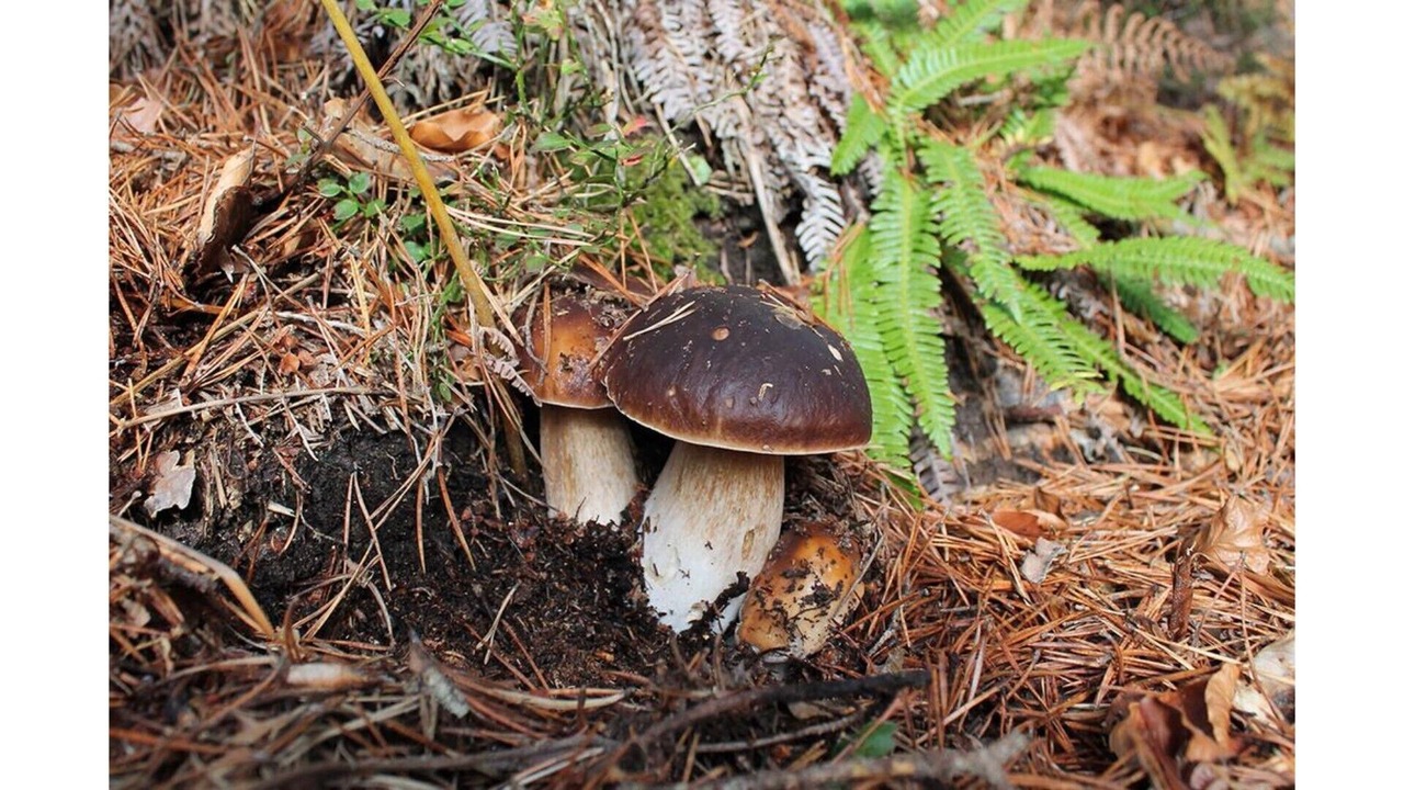 Photo of Outdoor in El Rasillo de Cameros