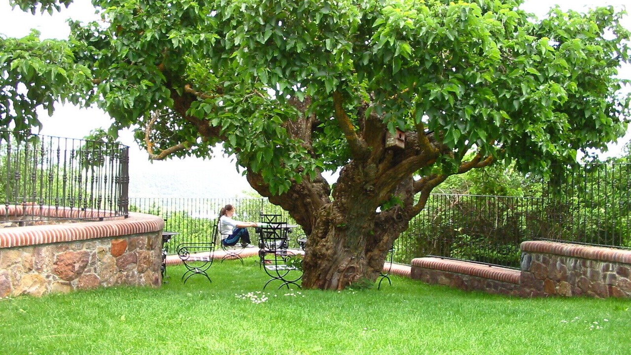 Photo of Outdoor in El Rasillo de Cameros