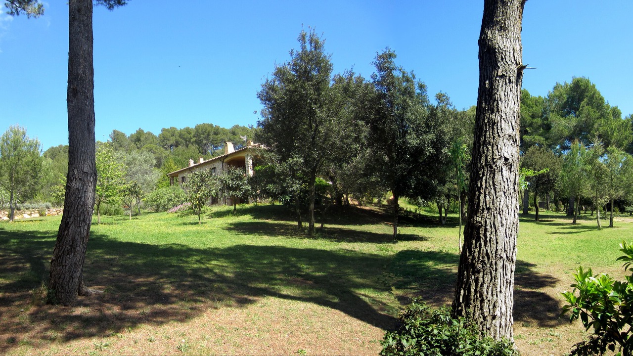 Photo of Outdoor in Regencos