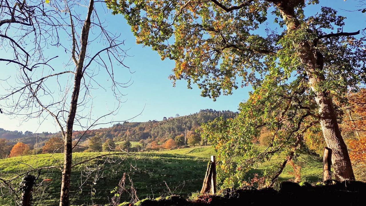 Photo of Outdoor in Vallobal